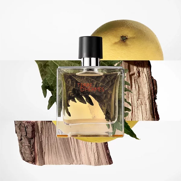 HERMÈS TERRE D'HERMÈS